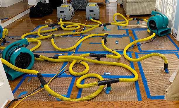 Professional Structural Drying And Dehumidification technician working in Hamler, OH